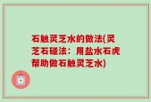 石触灵芝水的做法(灵芝石碰法：用盐水石虎帮助做石触灵芝水)