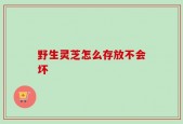 野生灵芝怎么存放不会坏