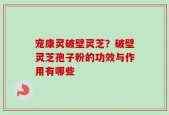宠康灵破壁灵芝？破壁灵芝孢子粉的功效与作用有哪些