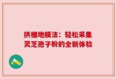拱棚地膜法：轻松采集灵芝孢子粉的全新体验