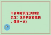 干青如意灵芝(青如意灵芝：优秀的营养植物，值得一试)