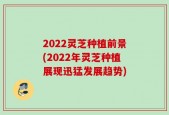 2022灵芝种植前景(2022年灵芝种植展现迅猛发展趋势)