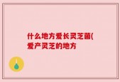 什么地方爱长灵芝菌(爱产灵芝的地方