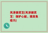 天泽健灵芝(天泽健灵芝：保护心脏，提高免疫力)
