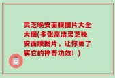 灵芝晚安面膜图片大全大图(多张高清灵芝晚安面膜图片，让你更了解它的神奇功效！)