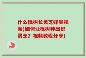 什么枫树长灵芝好呢视频(如何让枫树种出好灵芝？视频教程分享)