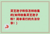 灵芝孢子粉你怎样收集的(如何收集灵芝孢子粉？简单易行的方法分享！)
