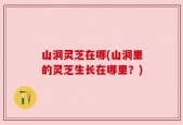 山洞灵芝在哪(山洞里的灵芝生长在哪里？)