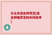 什么木适合种灵芝(适合种植灵芝的木材选项)