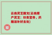 云南灵芝图文(云南原产灵芝：珍贵营养，药膳滋补好去处)