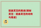 冠县灵芝的用途(探秘灵芝：冠县灵芝的功效与用途)