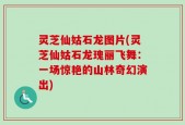 灵芝仙姑石龙图片(灵芝仙姑石龙瑰丽飞舞：一场惊艳的山林奇幻演出)