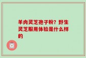 羊肉灵芝孢子粉？野生灵芝服用体验是什么样的
