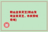 鞍山盆景灵芝(鞍山发现盆景灵芝，市民赞叹奇观)