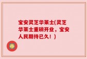 宝安灵芝华莱士(灵芝华莱士重磅开业，宝安人民期待已久！)