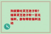 狗就要吃灵芝孢子粉？瑞草灵芝孢子粉一百元福利，都有哪些福利活动