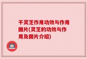干灵芝作用功效与作用图片(灵芝的功效与作用及图片介绍)