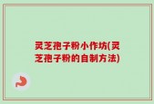 灵芝孢子粉小作坊(灵芝孢子粉的自制方法)