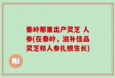 秦岭那里出产灵芝 人参(在秦岭，滋补佳品灵芝和人参扎根生长)