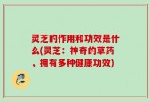 灵芝的作用和功效是什么(灵芝：神奇的草药，拥有多种健康功效)