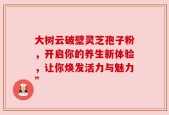 大树云破壁灵芝孢子粉，开启你的养生新体验，让你焕发活力与魅力”