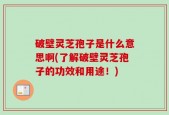 破壁灵芝孢子是什么意思啊(了解破壁灵芝孢子的功效和用途！)