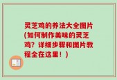 灵芝鸡的养法大全图片(如何制作美味的灵芝鸡？详细步骤和图片教程全在这里！)