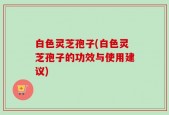 白色灵芝孢子(白色灵芝孢子的功效与使用建议)