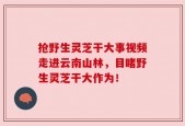 抢野生灵芝干大事视频走进云南山林，目睹野生灵芝干大作为！