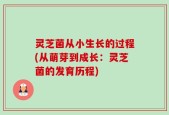 灵芝菌从小生长的过程(从萌芽到成长：灵芝菌的发育历程)
