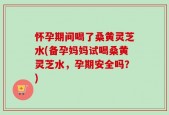 怀孕期间喝了桑黄灵芝水(备孕妈妈试喝桑黄灵芝水，孕期安全吗？)