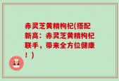 赤灵芝黄精枸杞(搭配新高：赤灵芝黄精枸杞联手，带来全方位健康！)