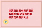 像灵芝但是有毒的菌类有哪些(常见有毒的类似灵芝的菌类大全)