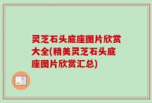 灵芝石头底座图片欣赏大全(精美灵芝石头底座图片欣赏汇总)