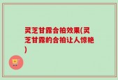 灵芝甘露合拍效果(灵芝甘露的合拍让人惊艳)