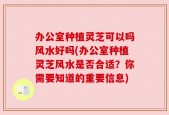 办公室种植灵芝可以吗风水好吗(办公室种植灵芝风水是否合适？你需要知道的重要信息)
