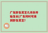 广东野生灵芝几月份开始生长(广东何时可采到野生灵芝？