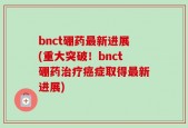 bnct硼药最新进展(重大突破！bnct硼药治疗癌症取得最新进展)
