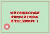 树灵芝底面是白的吗还是黄的(树灵芝的底面是白色还是黄色的？)