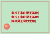 章丘丁家庄灵芝基地(章丘丁家庄灵芝基地：探寻灵芝奇妙之旅)