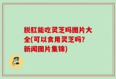 脱肛能吃灵芝吗图片大全(可以食用灵芝吗？新闻图片集锦)