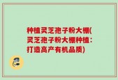 种植灵芝孢子粉大棚(灵芝孢子粉大棚种植：打造高产有机品质)