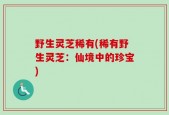 野生灵芝稀有(稀有野生灵芝：仙境中的珍宝)