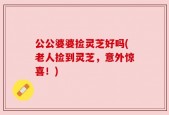 公公婆婆捡灵芝好吗(老人捡到灵芝，意外惊喜！)