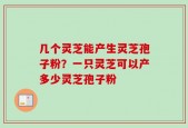 几个灵芝能产生灵芝孢子粉？一只灵芝可以产多少灵芝孢子粉