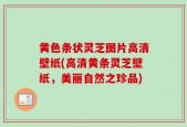 黄色条状灵芝图片高清壁纸(高清黄条灵芝壁纸，美丽自然之珍品)