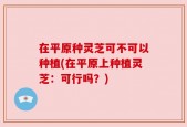在平原种灵芝可不可以种植(在平原上种植灵芝：可行吗？)