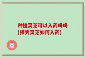 种植灵芝可以入药吗吗(探究灵芝如何入药)