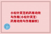 小松针灵芝的药用功效与作用(小松针灵芝：药用功效与作用解析)