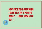 好的灵芝孢子粉辨别图(优质灵芝孢子粉如何鉴别？一图让你轻松学会！)